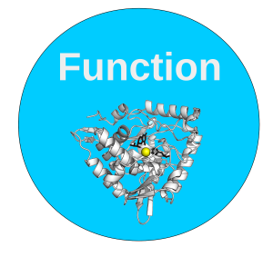 Function SIG: Gene and Protein Function Annotation Function SIG: Gene and Protein Function Annotation